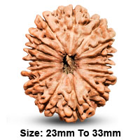 15 (पञ्चदश) Mukhi